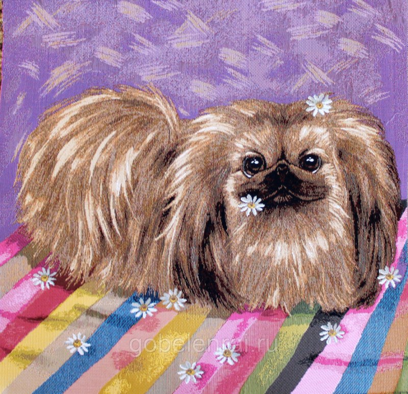 Пекинес мультяшный