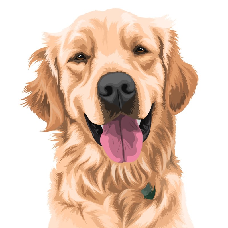 Turn Pet photos into Art