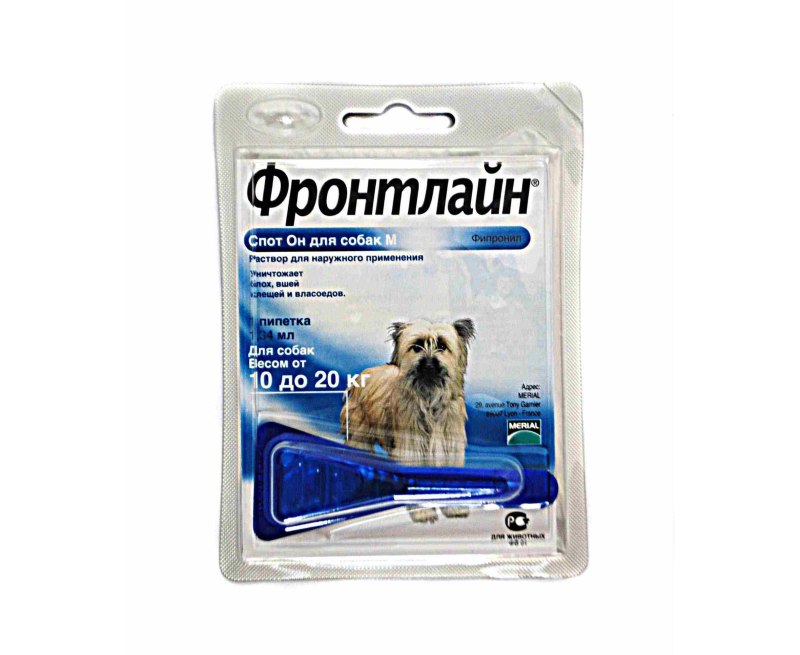 Фронтлайн 10
