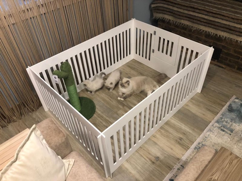 Клетка-переноска Savic Dog Residence