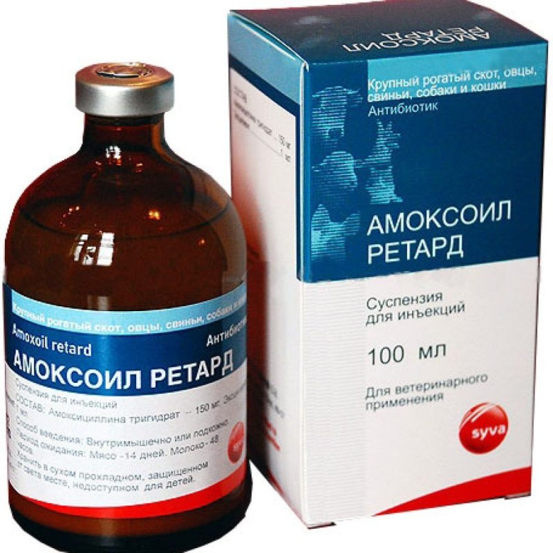 Амоксоил ретард, 100 мл