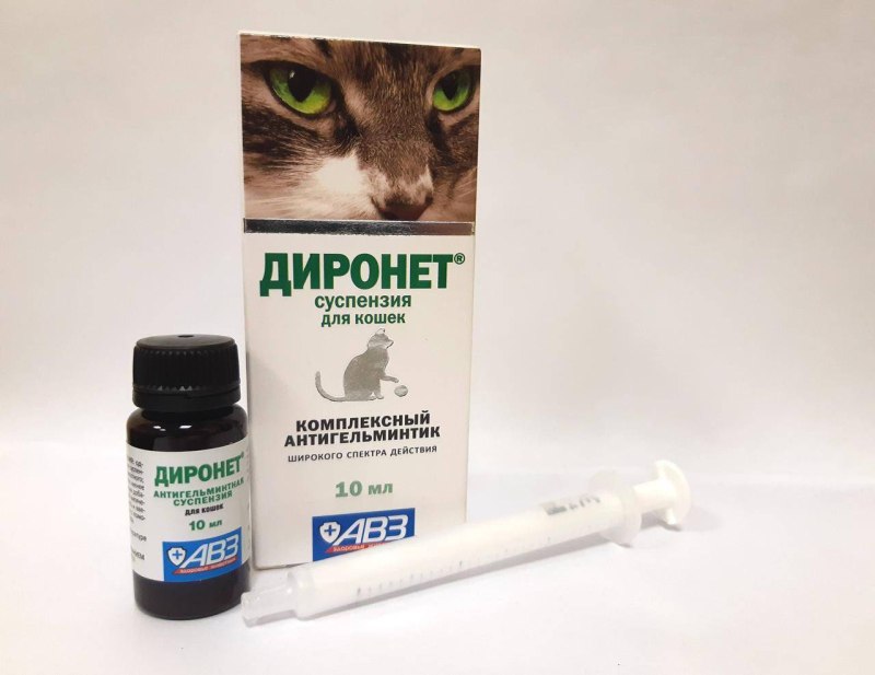 Ветеринарный антибиотик амоксициллин