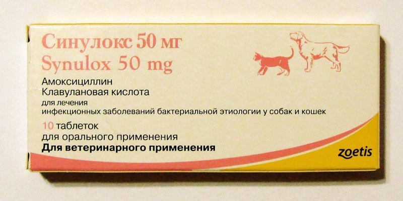 Синулокс для кошек таблетки 50 мг