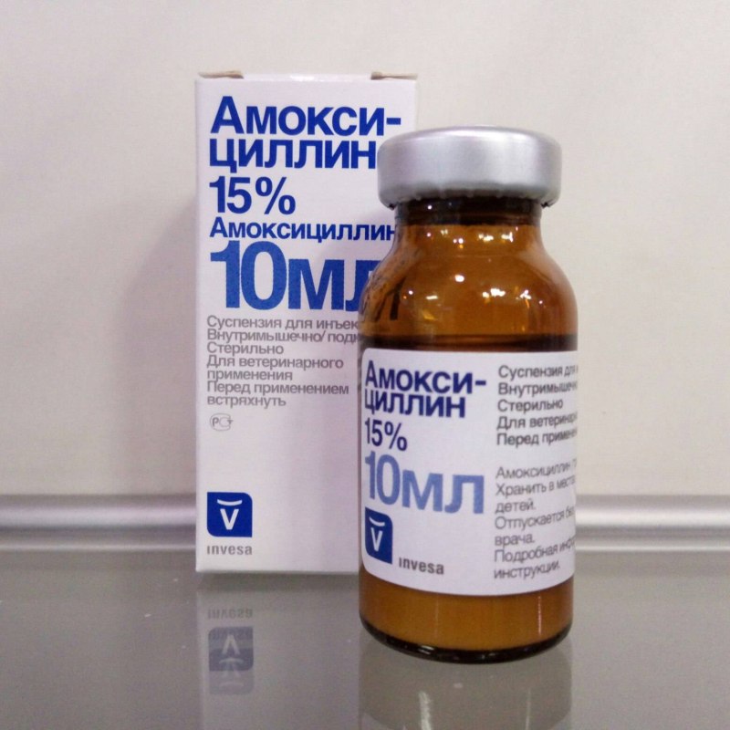 Животные и таблетки