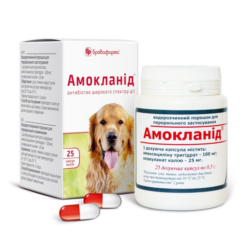 Антибиотик для собак