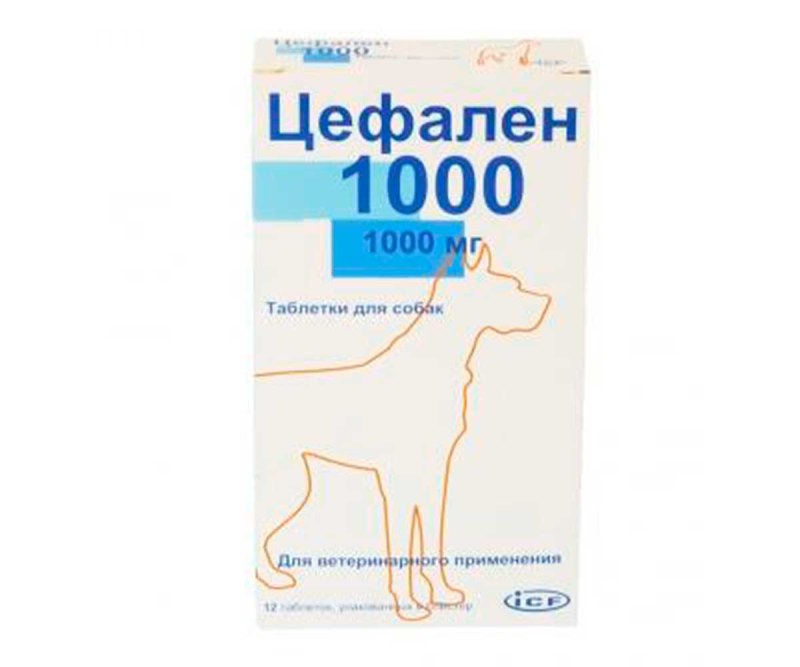 Цефален 500 для собак