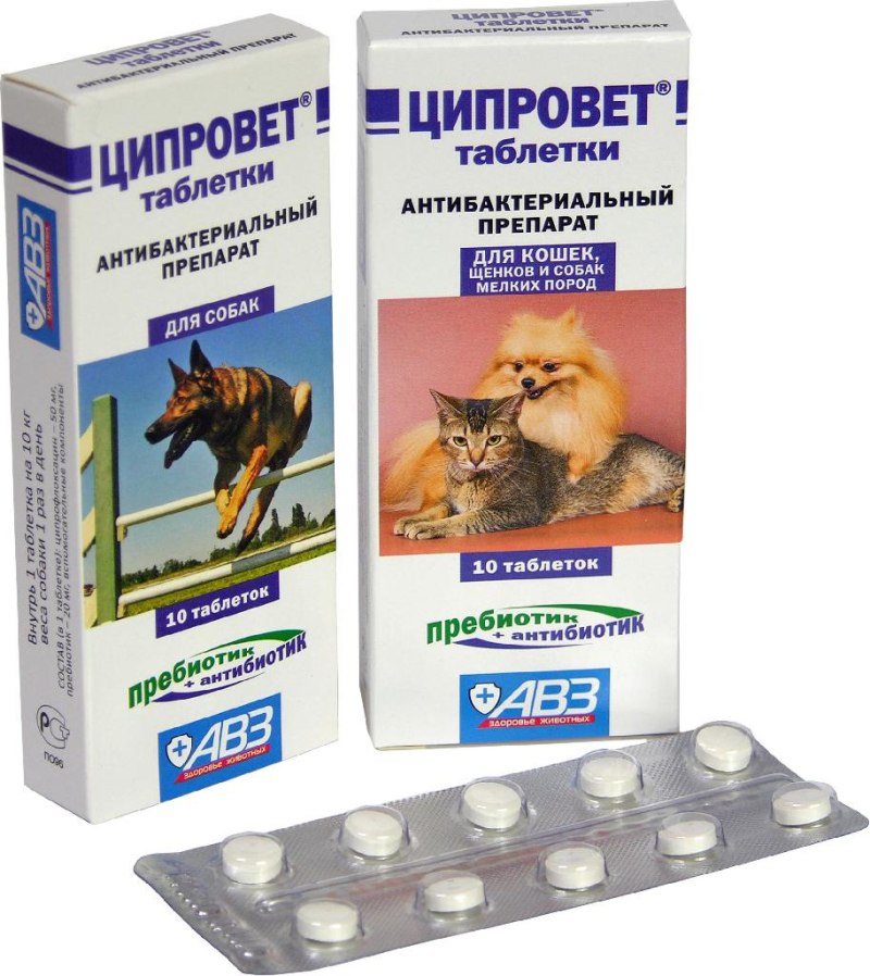 Ципровет д/кошек, щенков, м.собак уп. 10табл.
