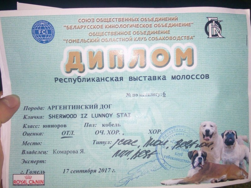 Собака чемпион России