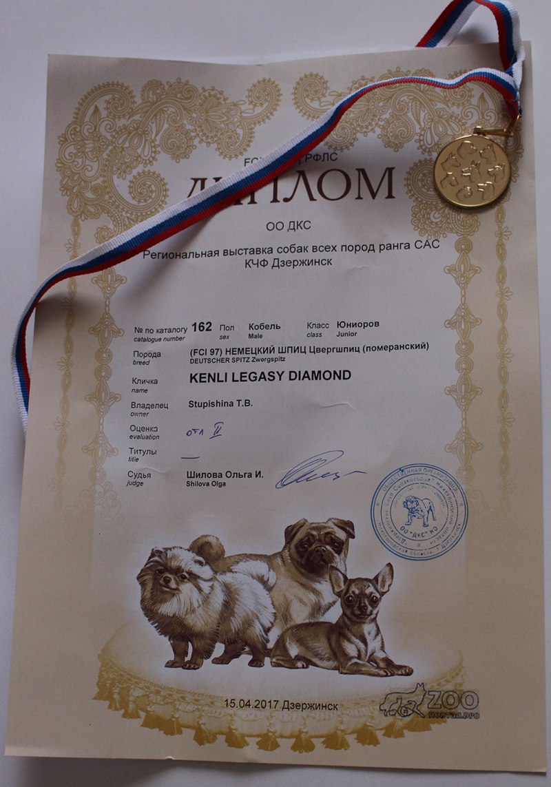 Бигль чемпион мира 2019