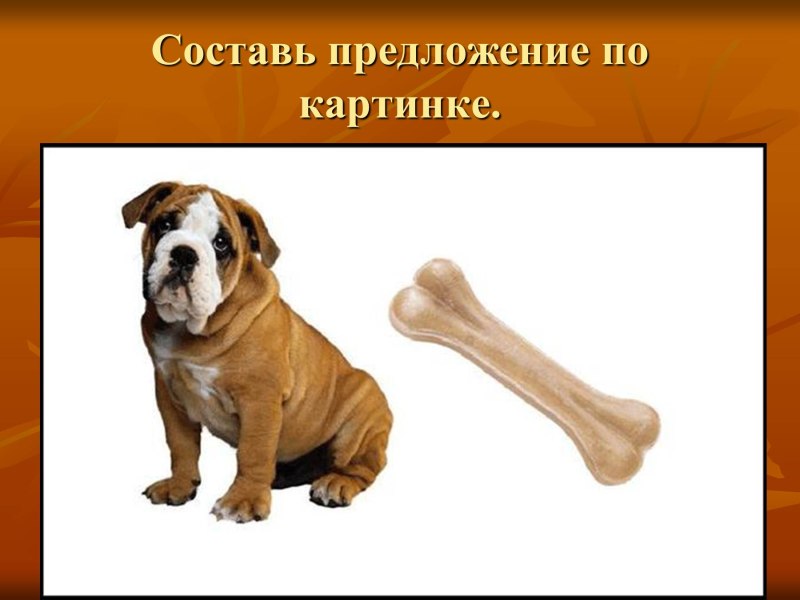 Щенок с косточкой