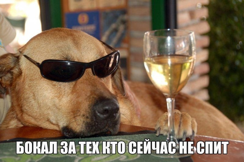 Собака с бокалом вина