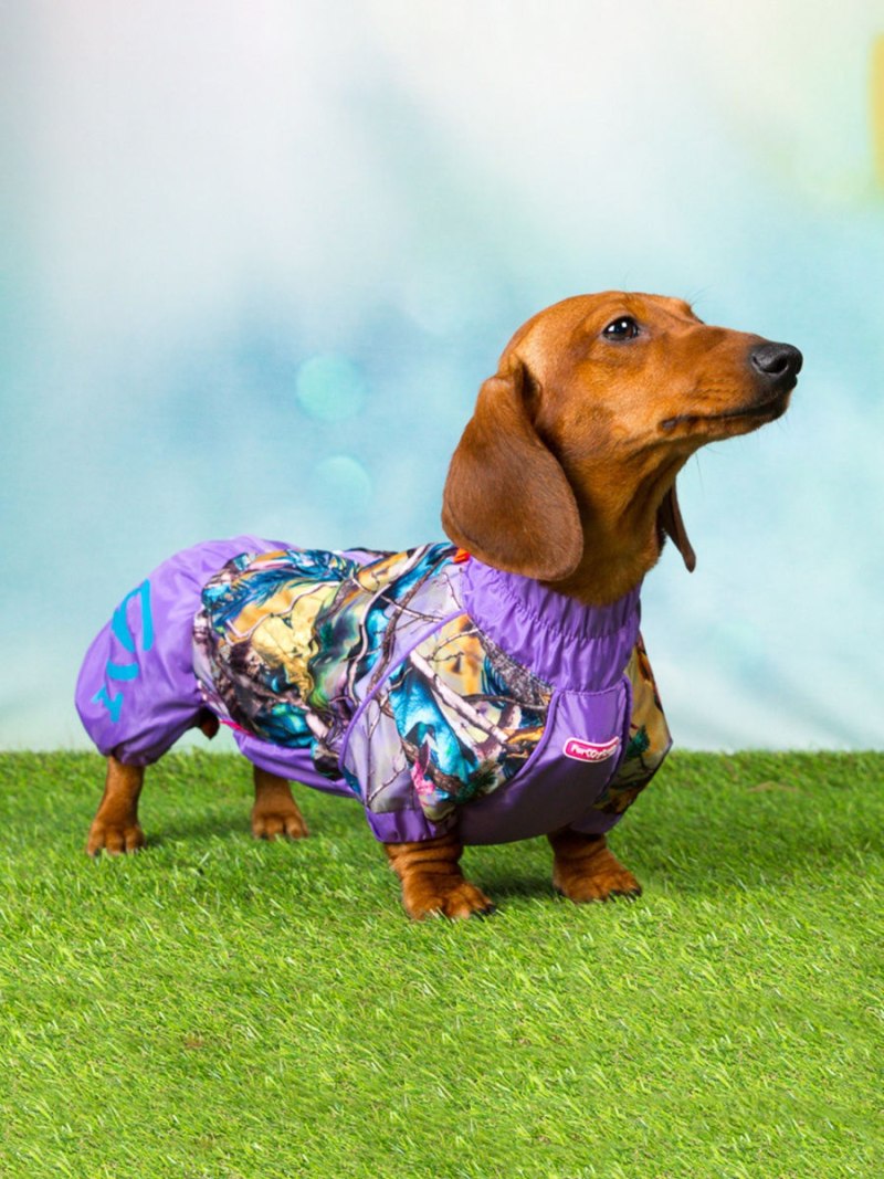Дождевик FORMYDOGS для таксы тм2