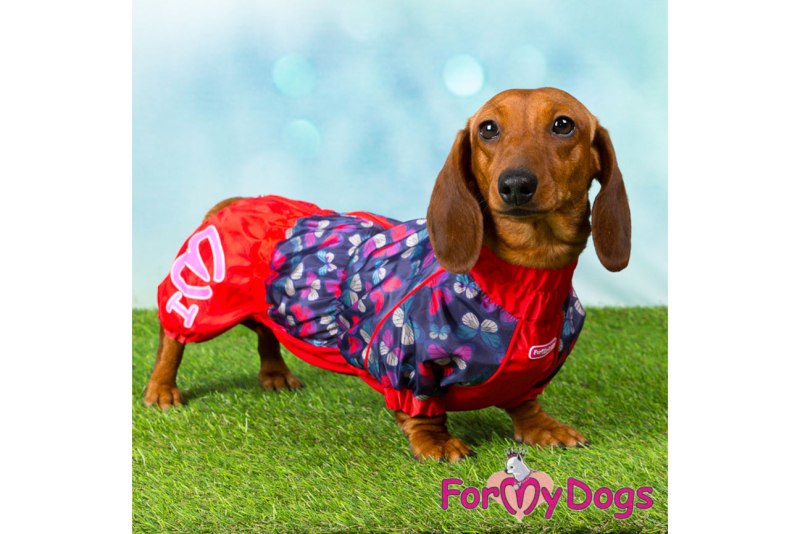 FORMYDOGS такса ТС 1