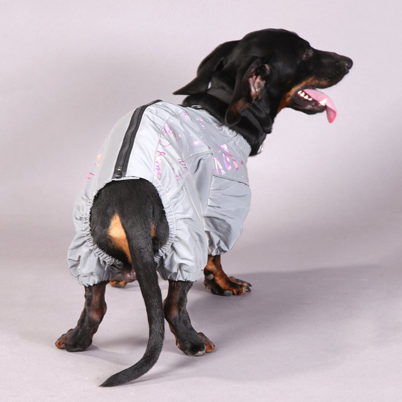 FORMYDOGS комбинезон Лео для таксы