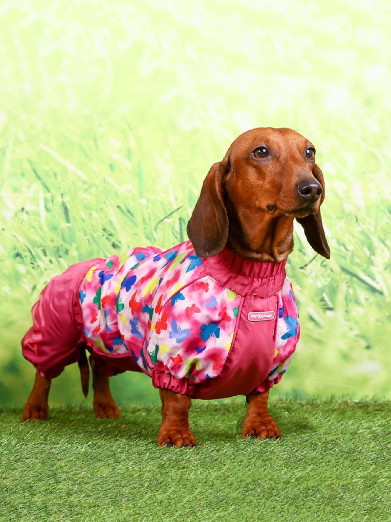 Попона для собак Dogmoda "Бостон"