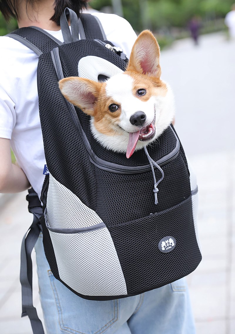 Рюкзак переноска Carrier Dog