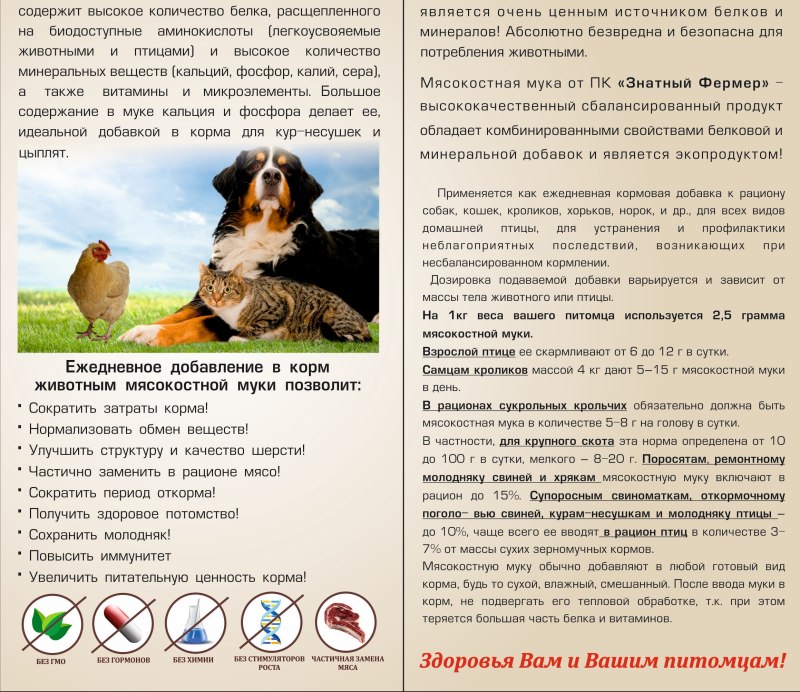 Мясная мука