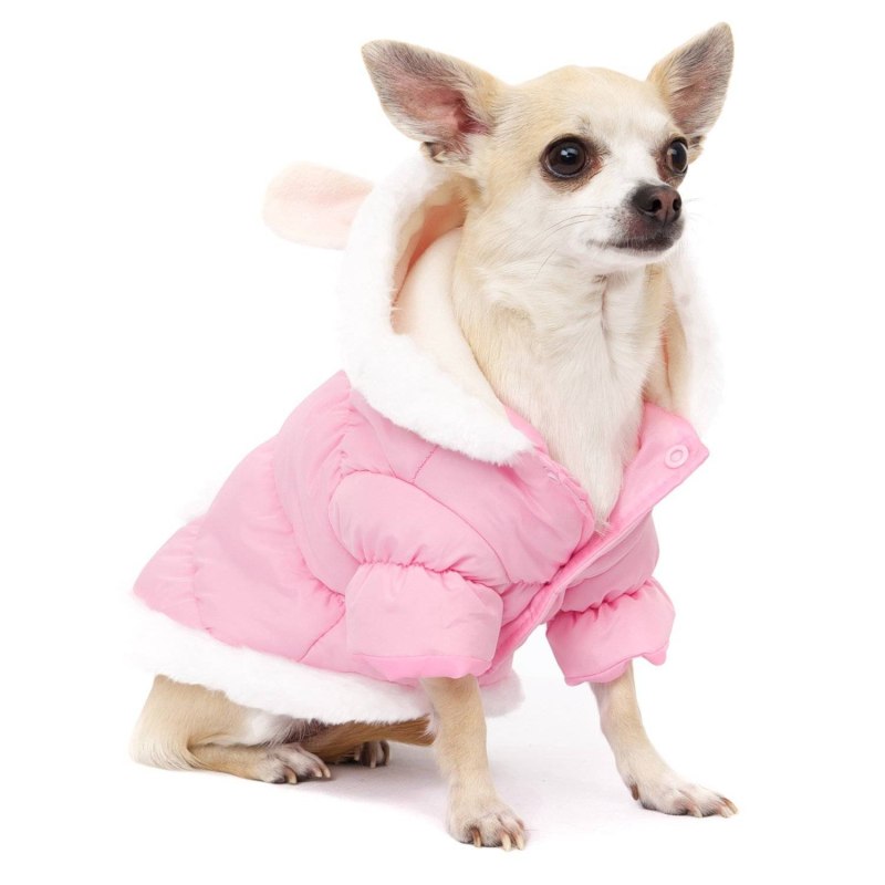 Чихуахуа Pink