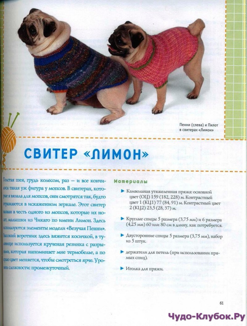 Схема вязания одежды для мопсов