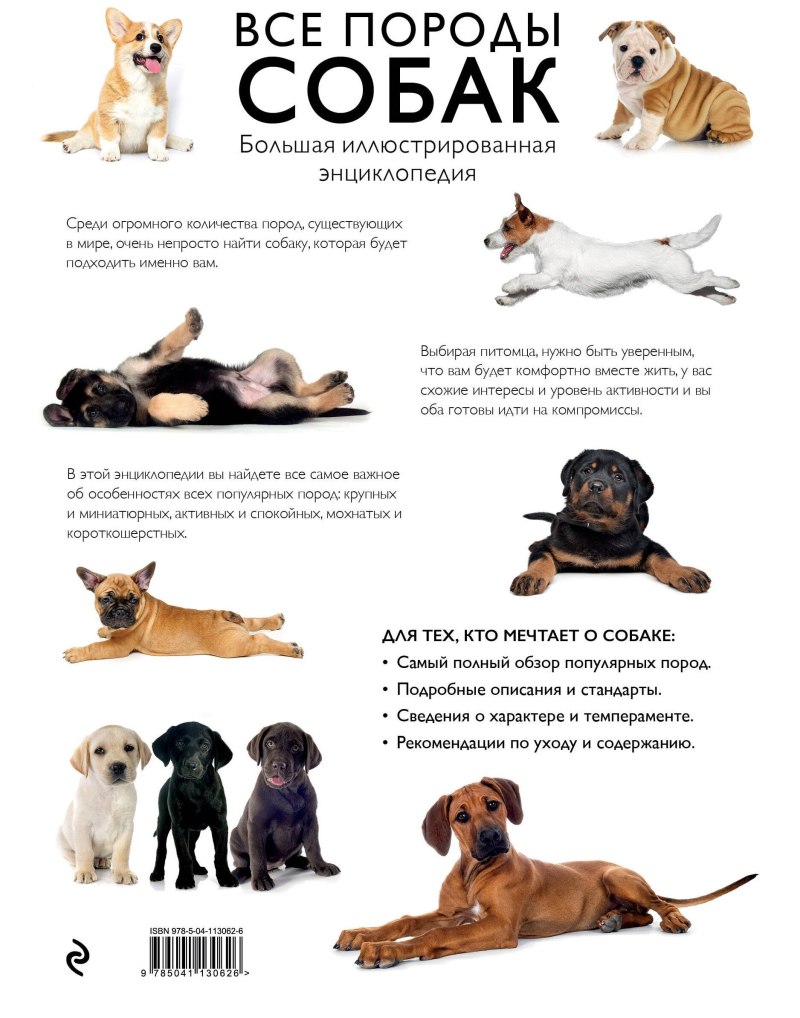 Большая энциклопедия. Собаки
