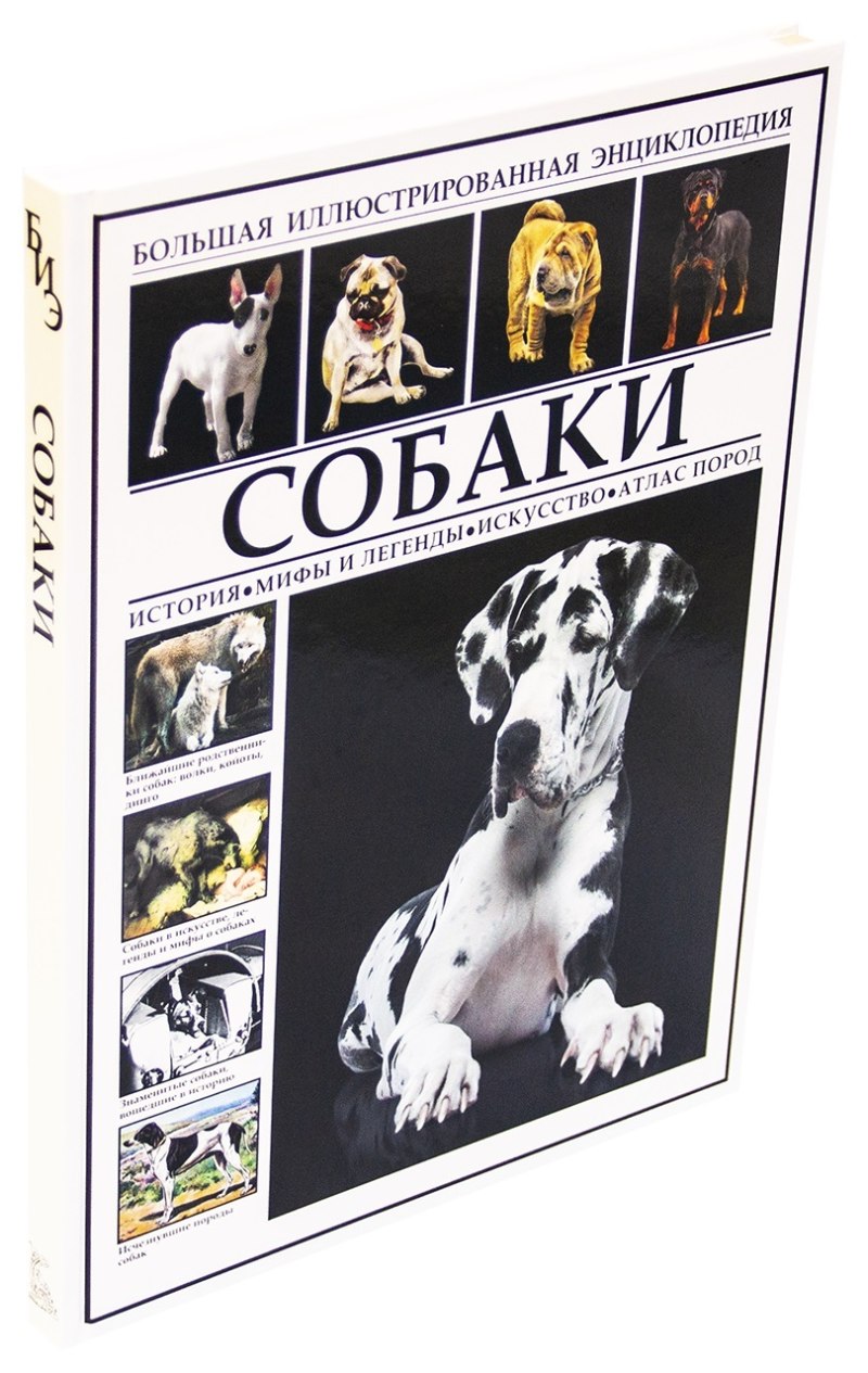 Большая иллюстрированная энциклопедия собаки