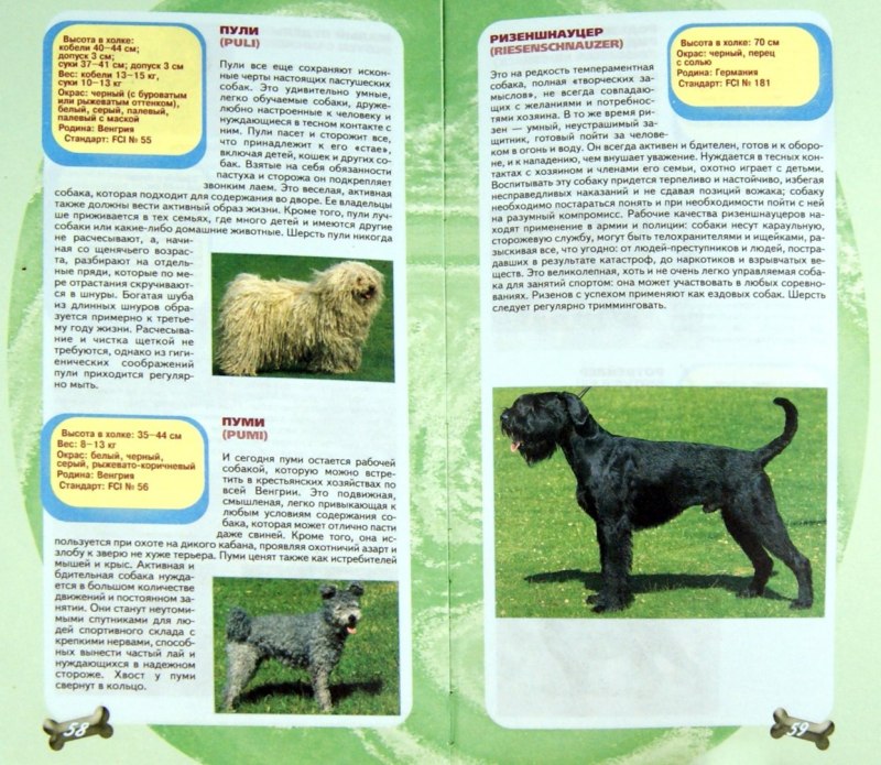 Книга про породы собак