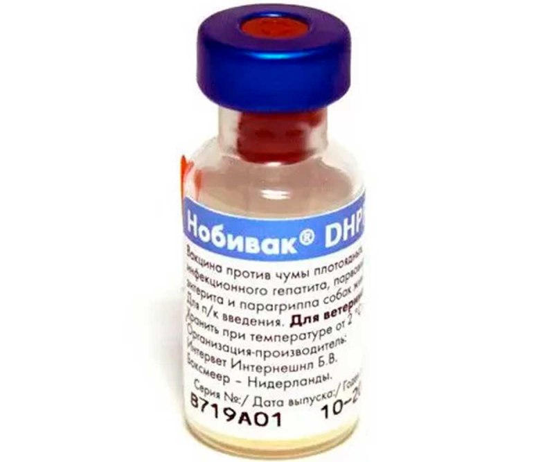 Нобивак DHPPI Lepto Rabies