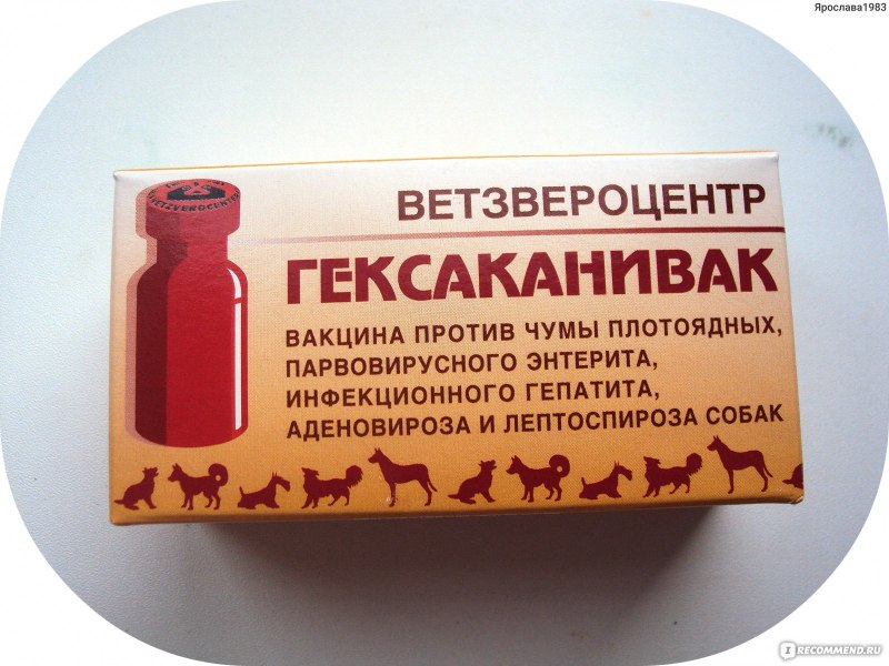 Дипентавак вакцина для собак