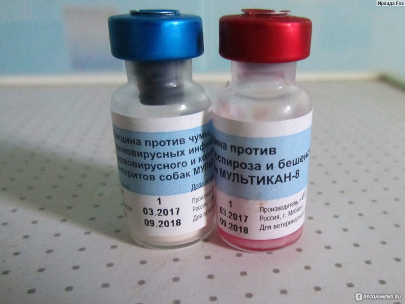 Мультикан-8, вакцина для собак