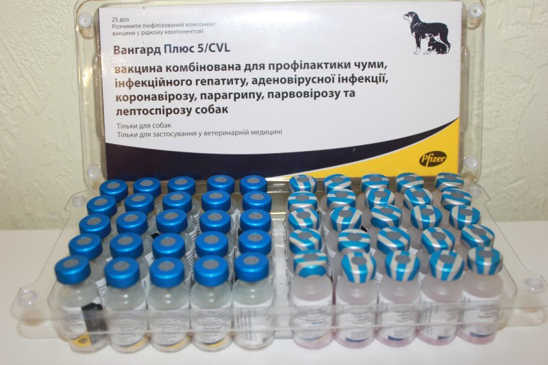 Вакцина Вангард 5 для собак