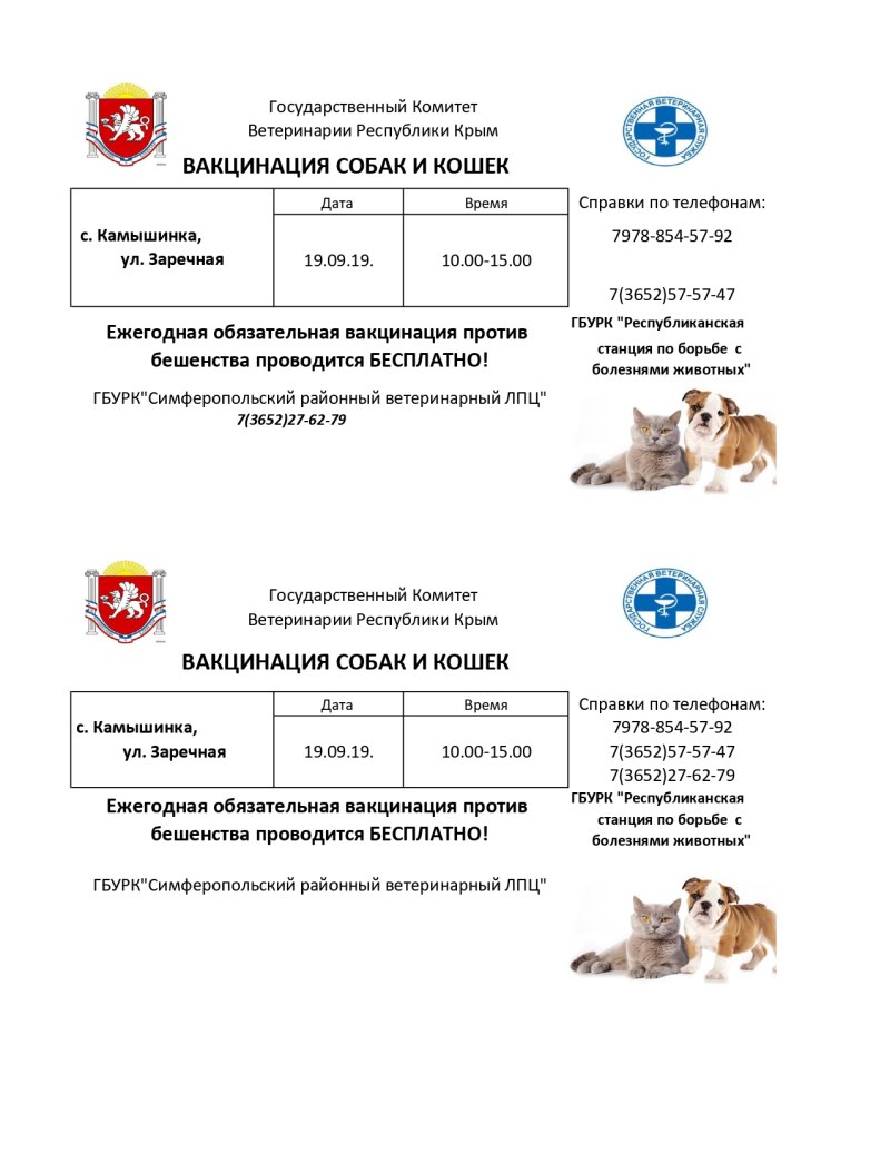Памятка вакцинации кошек и собак