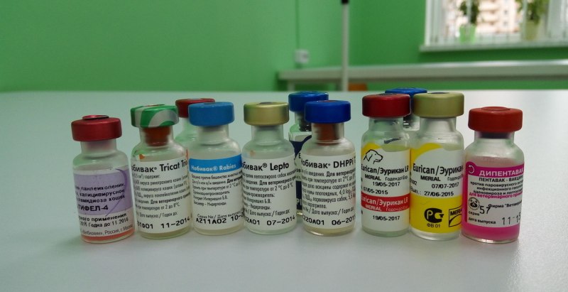 Нобивак Rabies вакцина Ветеринария