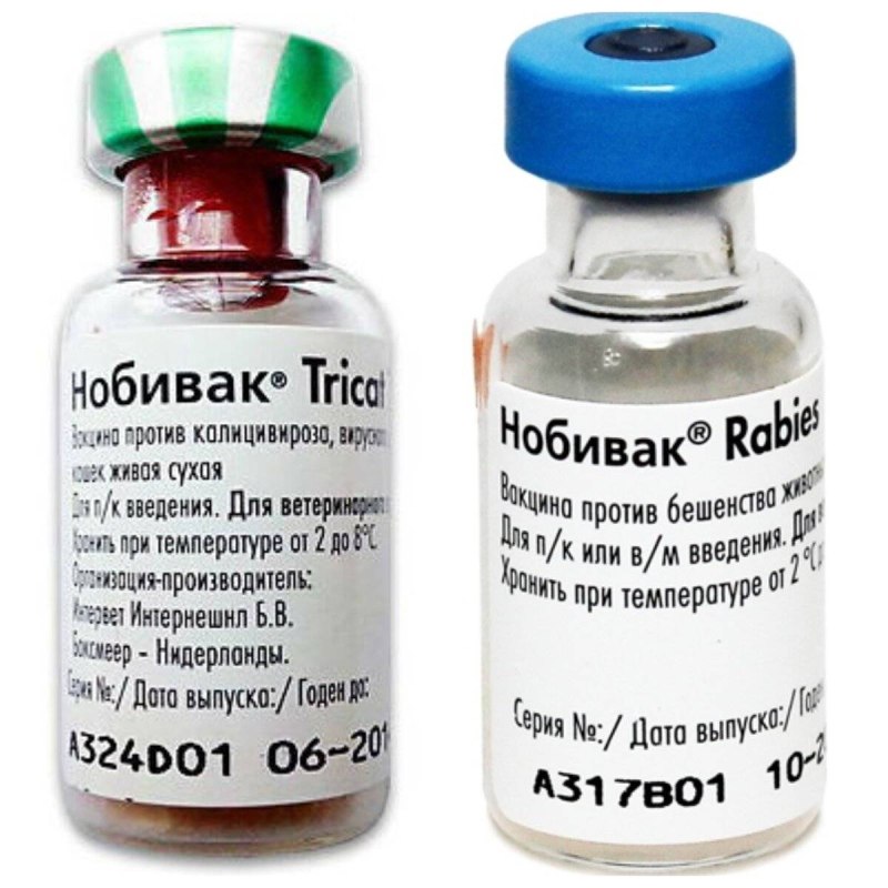 Вакцинация кошек Nobivac Tricat Trio