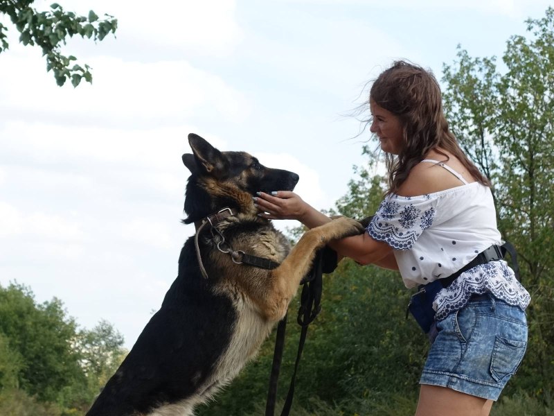 Девушка и парень с немецкой овчаркой