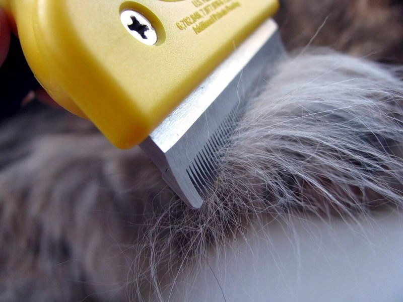 Dyson щетка для собак Groom