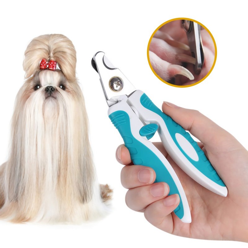Dog Nails