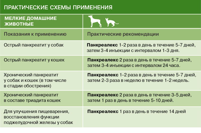 Ветеринария болезни собак
