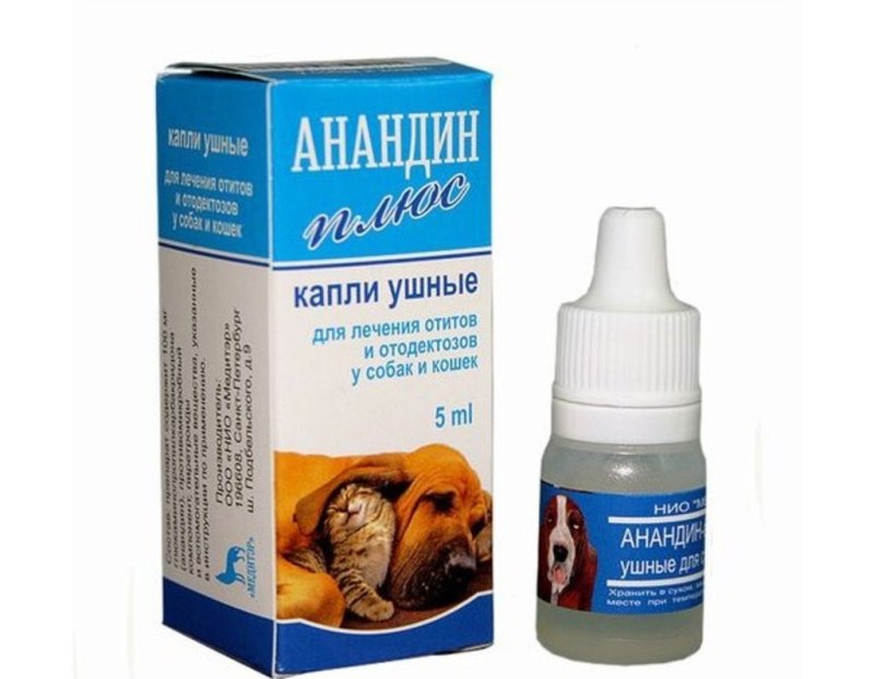 Ветеринар с собакой