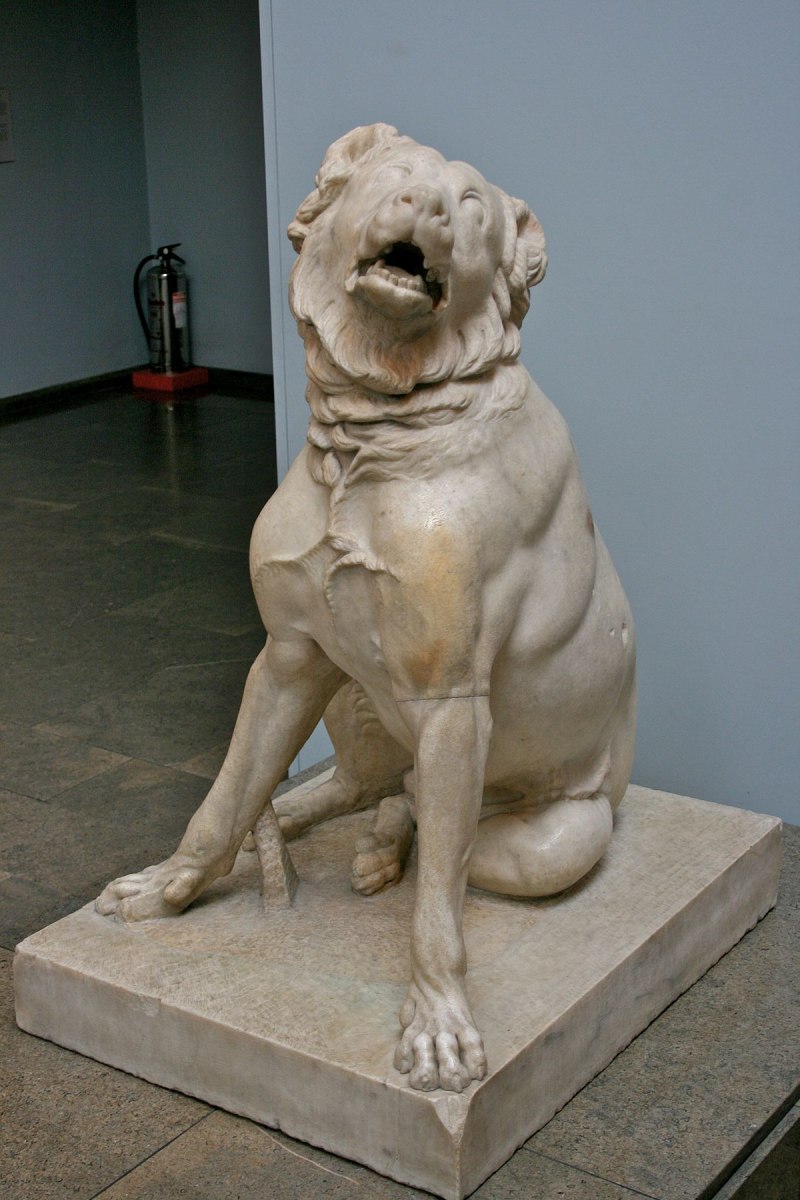 Кане Корсо