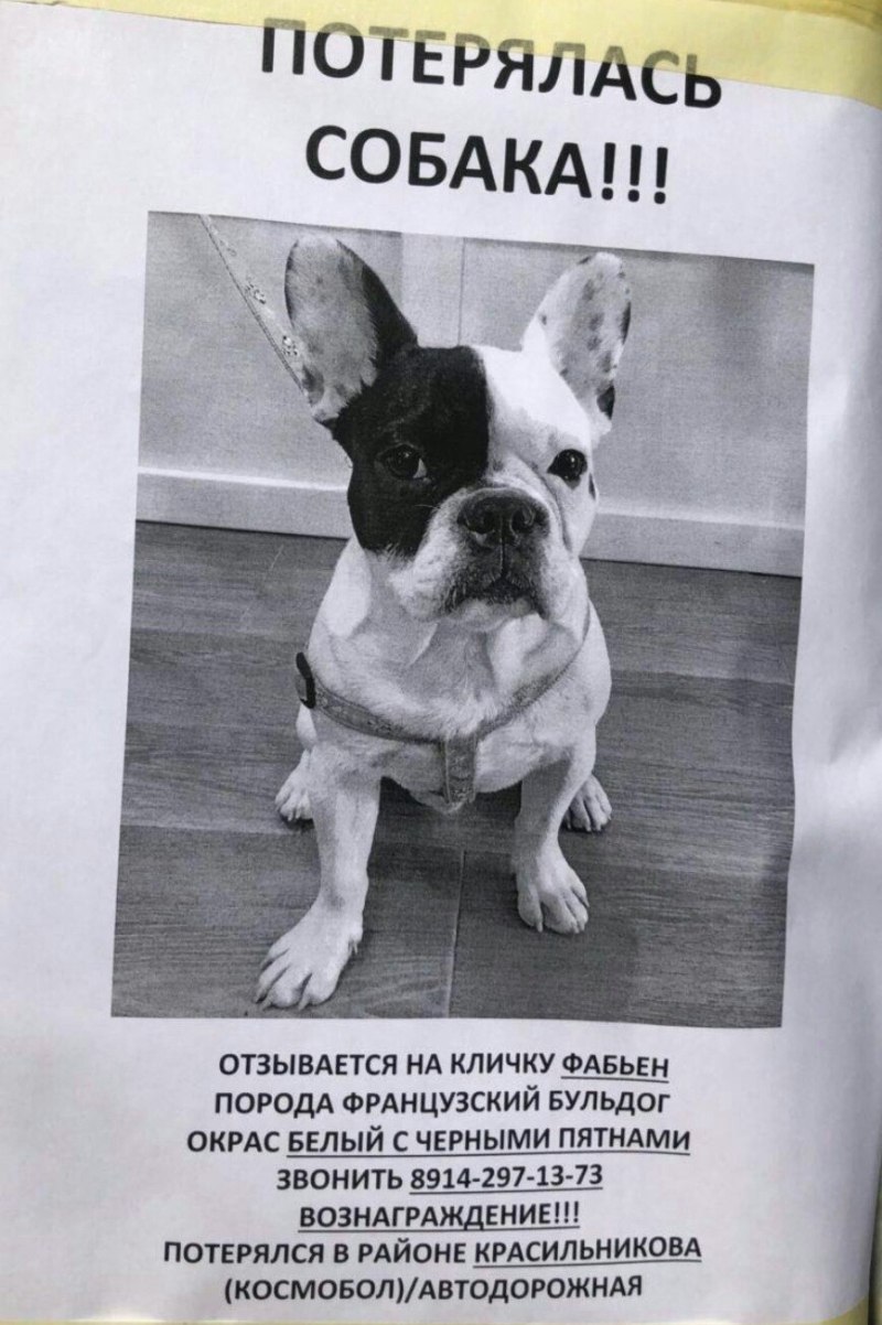 Роял Канин для английского бульдога