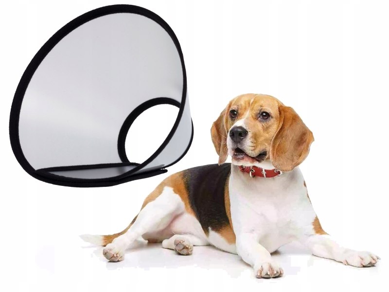 Защитный воротник Kruuse Buster clic Collar 20 см