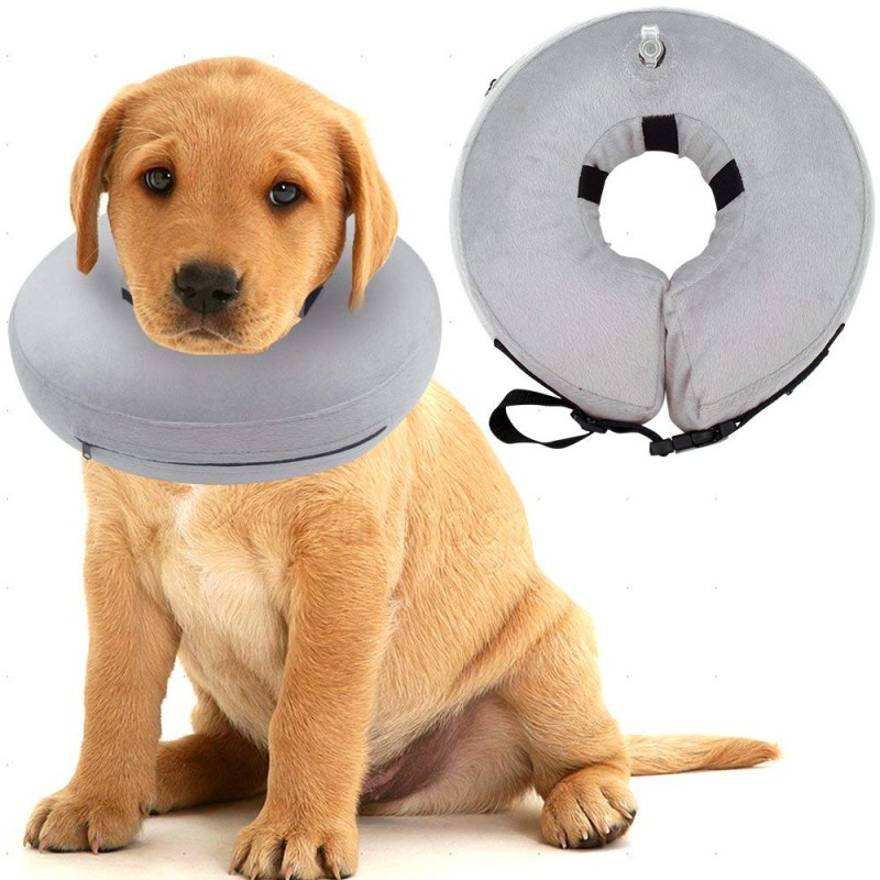 Beeztees Plastic Dog cap защитный воротник