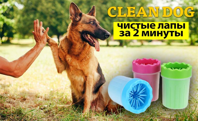 Удобные варианты мытья лап собакам
