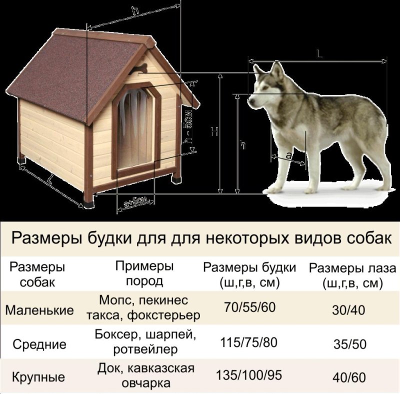 Размеры будки для немецкой овчарки