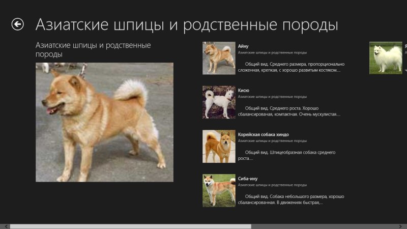 Палмер породы собак