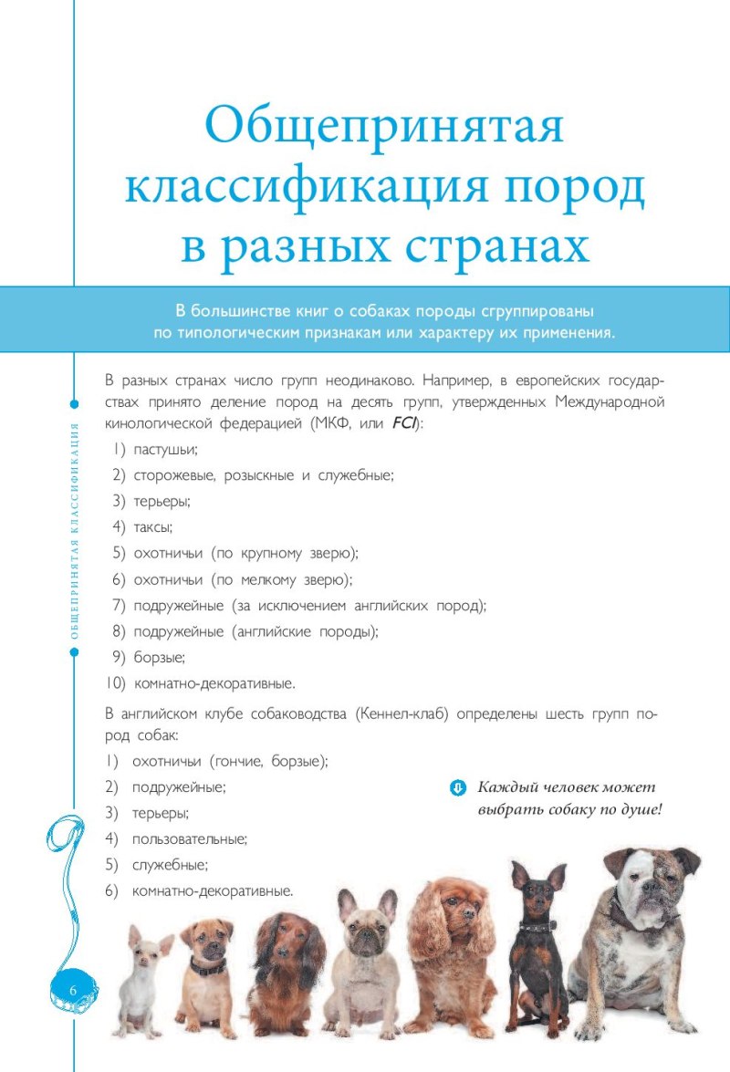 Разные собаки и их названия
