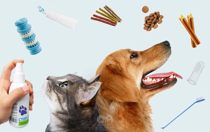 Зубная паста для собак Pet Toothpaste
