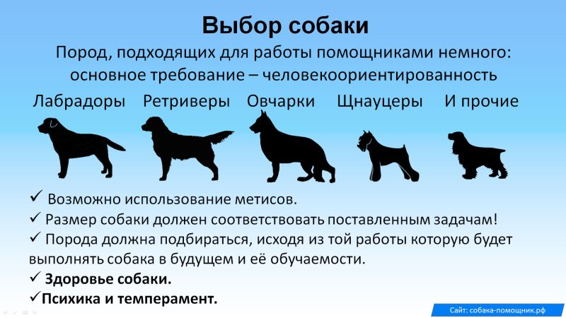 Темпераменты собак по породам