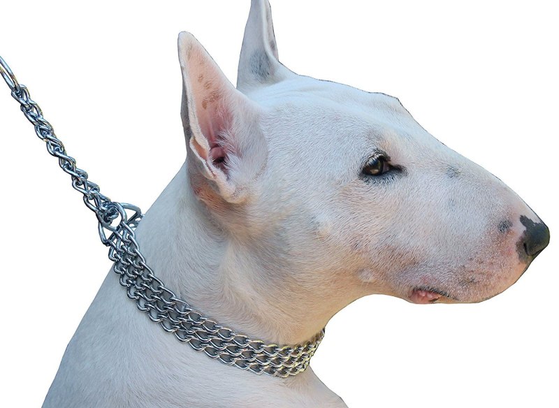 Ошейник Pit bull 010u с поводком