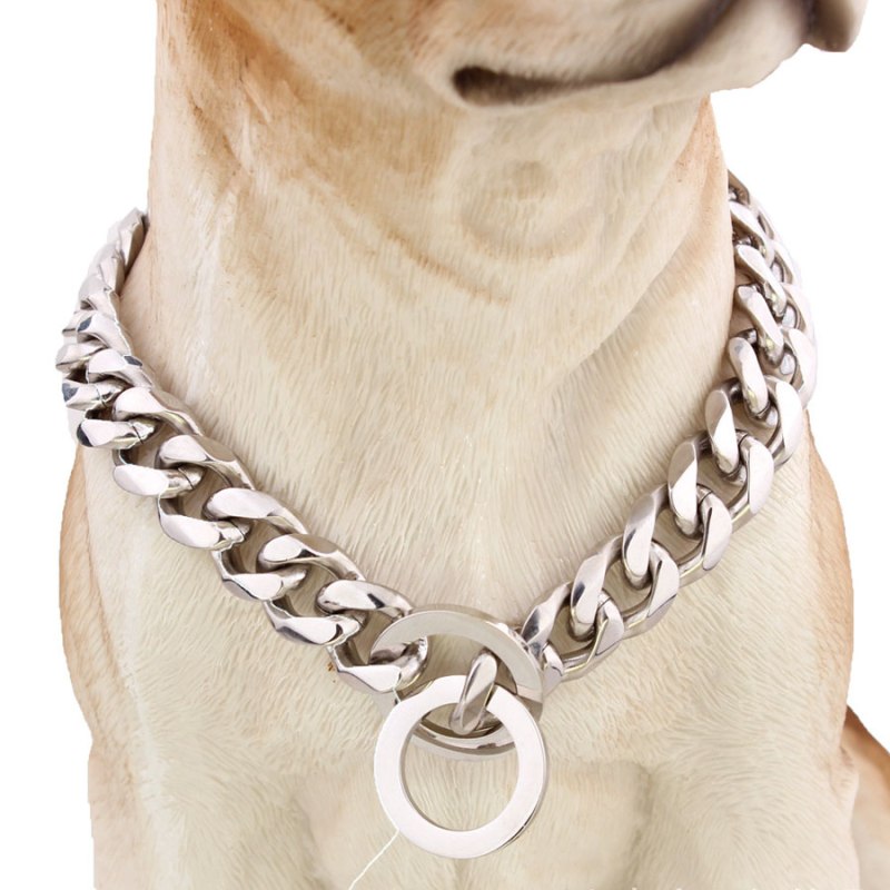 Собака с ошейником wow Dog